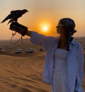 falcon photography