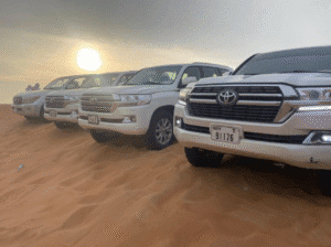 premium land cruiser